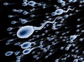 Спермограмма в домашних условиях: изобретен доступный «тест фертильности»
