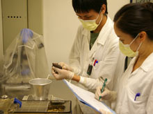 Гонконгские специалисты нашли необычный препарат, защищающий от вирусов гриппа