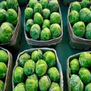 Ученые: витамины в брюссельской капусте могут быть опасны