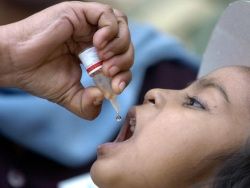 Талибы оставят пакистанских детей без прививок