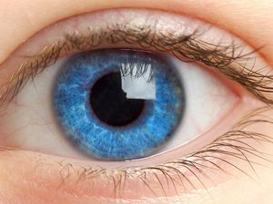 Новая технология позволит изменить цвет глаз 