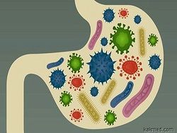 Тело здорового человека буквально кишит микробами