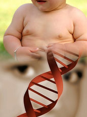 Питайтесь правильно: пища изменяет гены