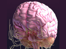 Наноэлектроды - новое слово в лечении эпилепсии