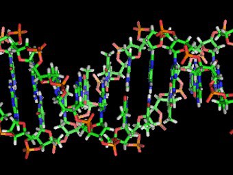 Генетики научились считать молекулы ДНК и РНК