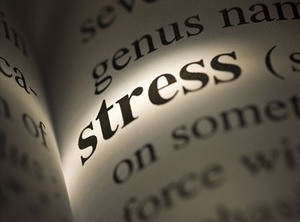 «Хронический стресс может привести к депрессии и даже язве желудка»
