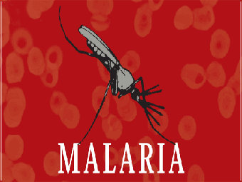 Малярия вернулась в Грецию