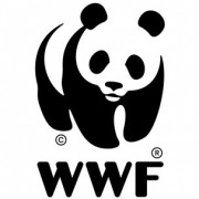 WWF России советует готовиться к учащению стихийных бедствий