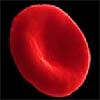 Синтетические нанотромбоциты удваивают шансы на выживание при массивном кровотечении