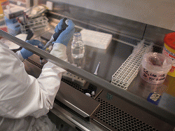 Израиль: продолжаются испытания вакцины от рака