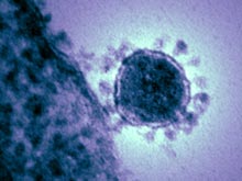 Страшный коронавирус, вероятно, передается при контакте с больным, предупреждает ВОЗ