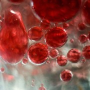 Госдума большинством голосов одобрила новый базисный закон «О донорстве крови и ее компонентов»