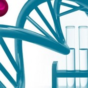 Наша прошедшая жизнь может стать открытой книгой благодаря естественным маркерам ДНК