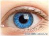Стволовые клетки восстановили зрение десяткам пациентов с ожогами глаз 