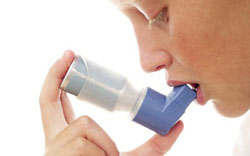 Домашняя плесень обостряет приступы астмы 