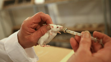 Гормон-антидиабетик помог мышам справиться с депрессией - ученые