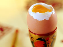 Современные куриные яйца признаны одним из самых полезных продуктов