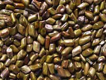 Семена кассии - универсальное средство, улучшающее зрение, заявляют эксперты