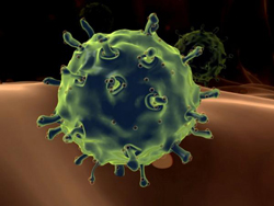В сегодняшнем эпидемиологическом сезоне по гриппу предполагается циркуляция двух новых штаммов вируса