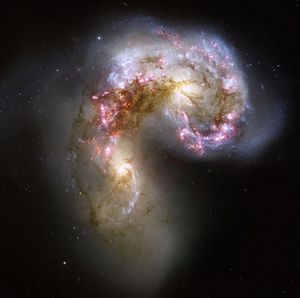 «Галактика» микрокосмоса 