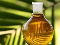 Пальмовое масло может навредить здоровью?
