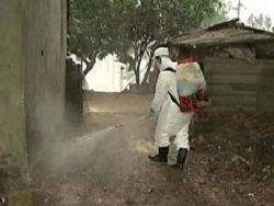 В Мексике зарегистрирована вспышка птичьего гриппа