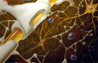 Сенсация: наночастицы останавливают развитие рассеянного склероза