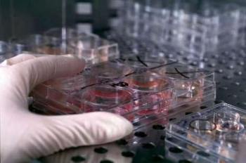 Клиническое использование стволовых клеток непременно будет расширено