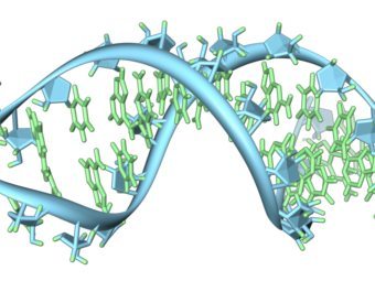 Из ДНК созданы наночастицы для лечения рака