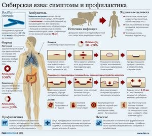 Треть населения земли заражена гепатитом 