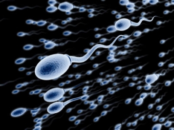 Состояние костей влияет на качество спермы