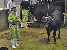 Скандал: в японской говядине нашли радиоактивный цезий