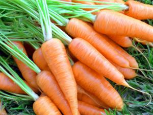 Морковь назвали овощем курящих