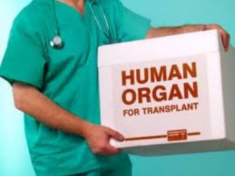 Трансплантация органов повышает риск развития 32 видов рака