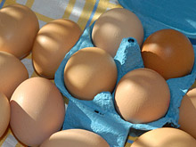 Гипоаллергенные яйца - надежда для аллергиков