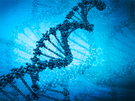 Европейским врачам разрешили корректировать человеческий геном 