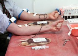 Австралия переживает дефицит донорской крови, ее запасы израсходованы