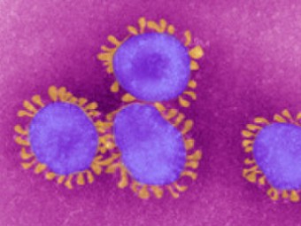 Число подхвативших новый коронавирус достигло десяти