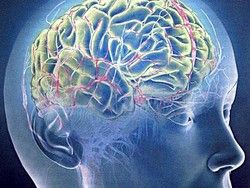 Мозг больного шизофренией создает поврежденные участки