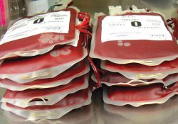 В США из-за недостатка донорской крови будут отменяться плановые операции