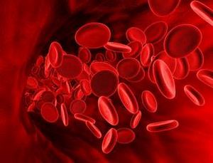 5 Продуктов, которые повысят гемоглобин 