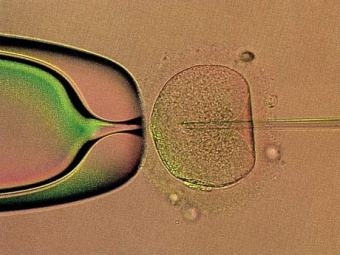 С 2013 года ЭКО для москвичек станет бесплатным
