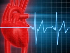 Учёные поняли причины внезапной сердечной смерти