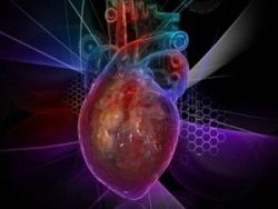 Ученые научились ставить заплатки на сердце