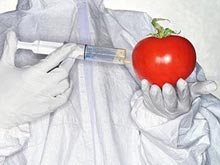 Генетически модифицированные продукты - реальная перспектива для Австралии