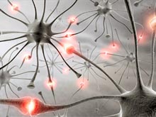 Нейроны двигательного центра управляют телом сообща