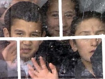 В Петербурге у таджикского ребенка обнаружен брюшной тиф