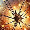 В нейронах найден дефектный белок, ответственный за развитие нейродегенеративных заболеваний