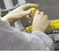 Совет по биобезопасности США призвал к мораторию на детальные публикации о гриппе
