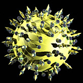 Эксперты обсудят проблему гепатитов